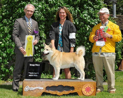 Fred Bassett Yakima WA - Tolgen's Jaeren Fredrick Kaare Group 3 